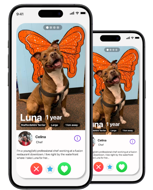 Pawmates app screenshot